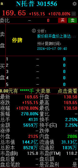 新股N托普大涨1070% 触发临时停牌